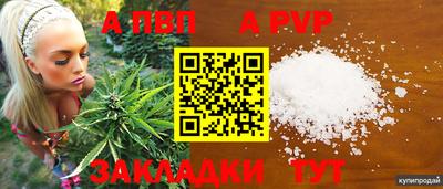 стаф Партизанск