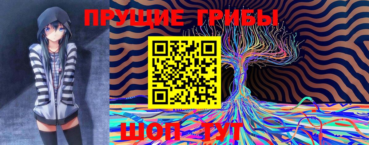 Галлюциногенные грибы прущие грибы  Вход с VPN  Петропавловск-Камчатский 